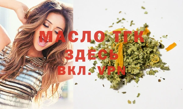 индика Абинск